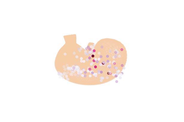 image from Tutorial 1: Mapping 2D data points to a 3D organ scaffold